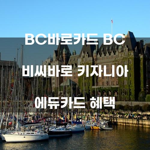 BC바로카드: BC 비씨바로 키자니아 에듀카드 혜택의 모든 것