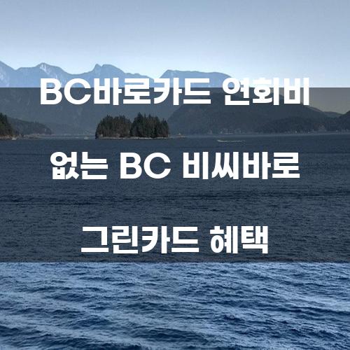 BC바로카드 연회비 없는 BC 비씨바로 그린카드 혜택