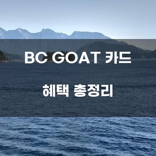 BC GOAT 카드 혜택 총정리