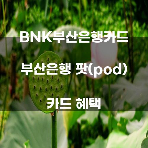 BNK부산은행카드 부산은행 팟(pod) 카드 혜택