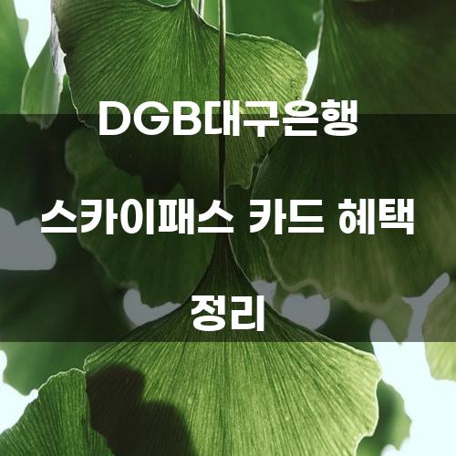 DGB대구은행 스카이패스 카드 혜택 정리