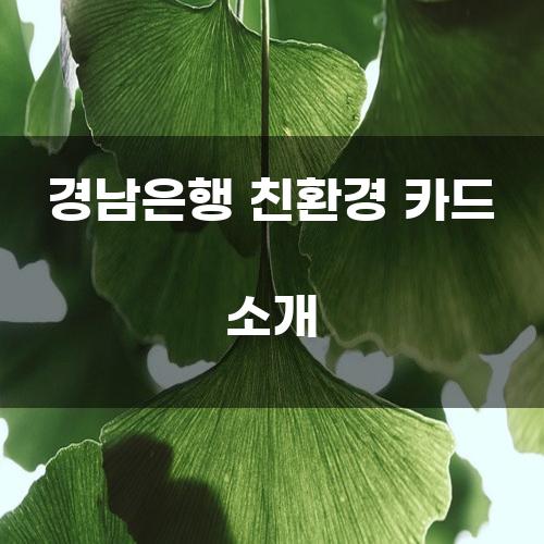 경남은행 친환경 카드 소개