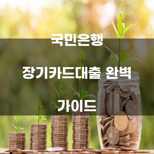 국민은행 장기카드대출 완벽 가이드