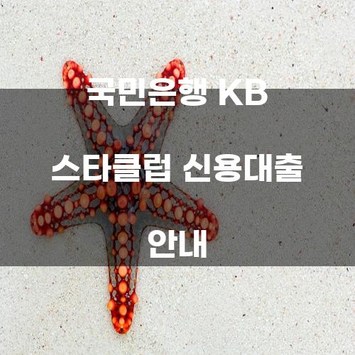 국민은행 KB 스타클럽 신용대출 안내