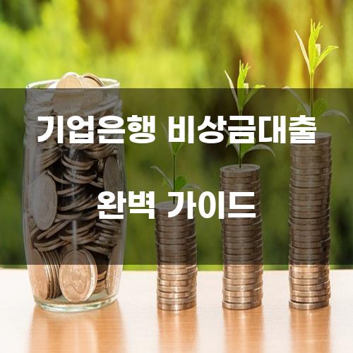 기업은행 비상금대출 완벽 가이드