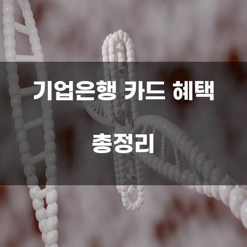 기업은행 카드 혜택 총정리