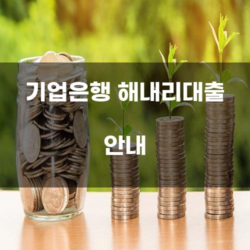 기업은행 해내리대출 안내