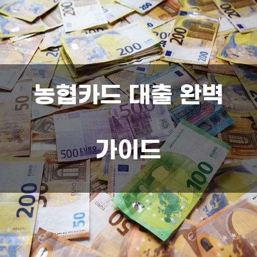 농협카드 대출 완벽 가이드