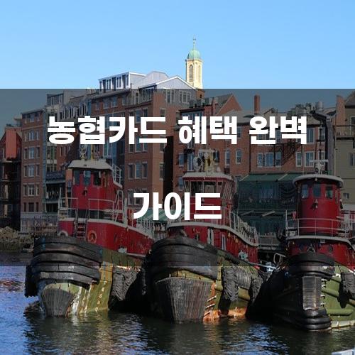 농협카드 혜택 완벽 가이드