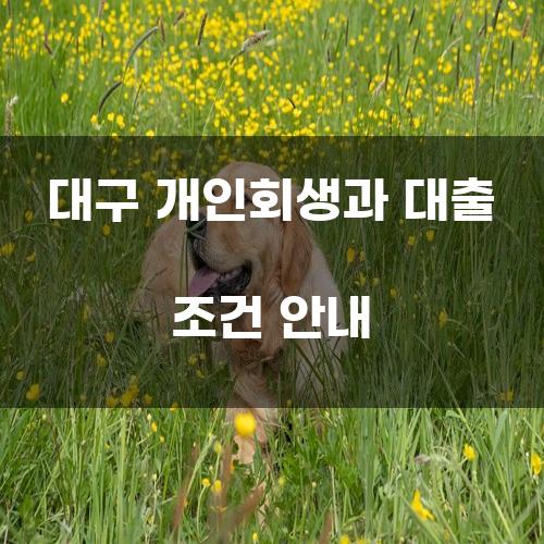 대구 개인회생과 대출 조건 안내