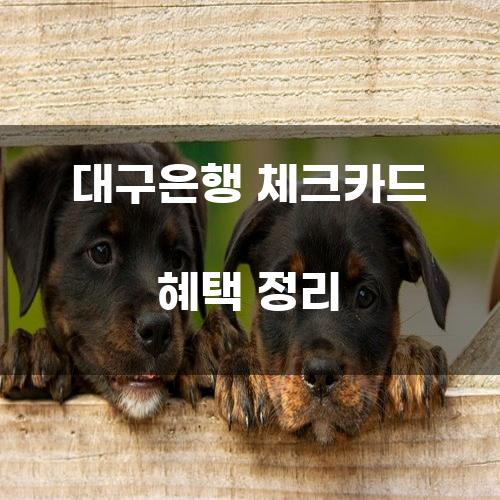 대구은행 체크카드 혜택 정리