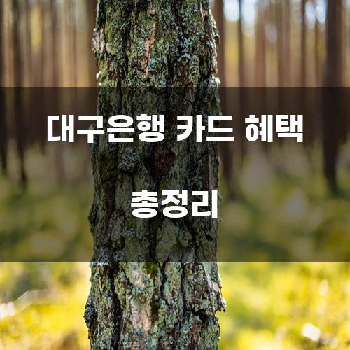 대구은행 카드 혜택 총정리