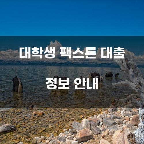 대학생 팩스론 대출 정보 안내