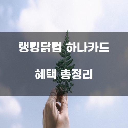 랭킹닭컴 하나카드 혜택 총정리