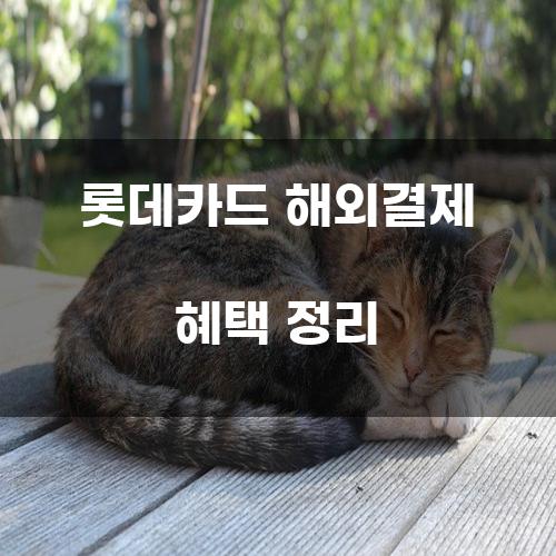 롯데카드 해외결제 혜택 정리