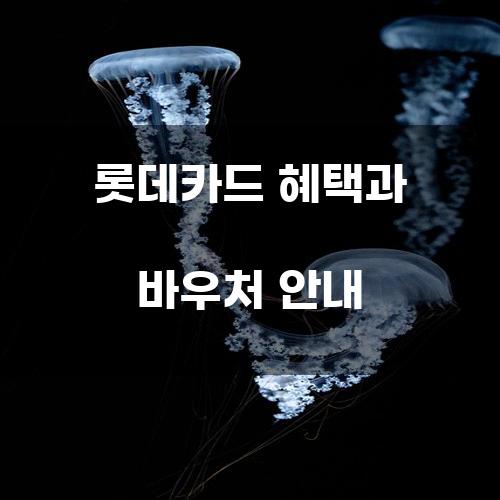 롯데카드 혜택과 바우처 안내