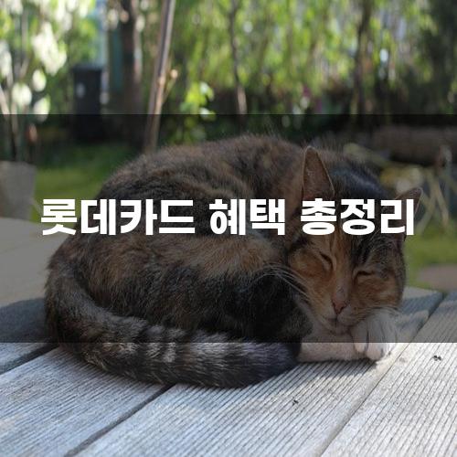 롯데카드 혜택 총정리