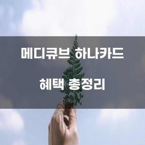 메디큐브 하나카드 혜택 총정리