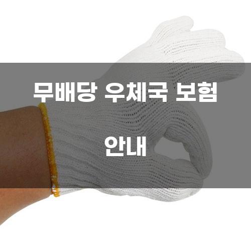 무배당 우체국 보험 안내