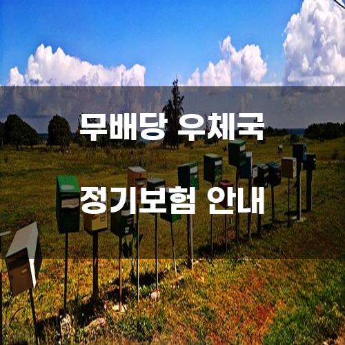 무배당 우체국 정기보험 안내