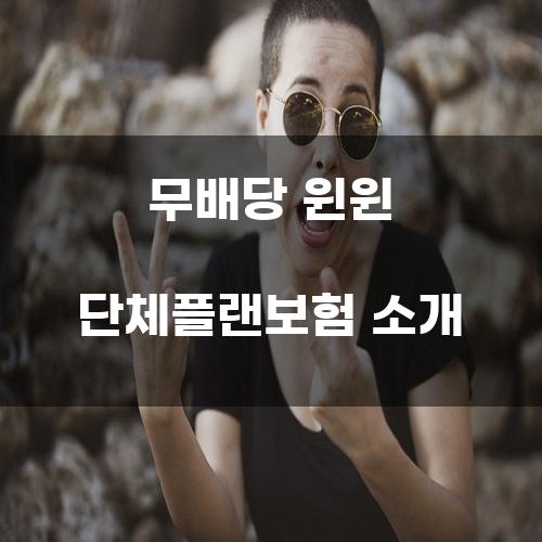 무배당 윈윈 단체플랜보험 소개