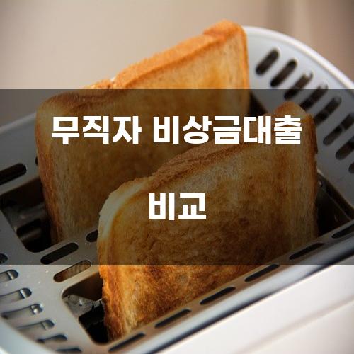 무직자 비상금대출 비교