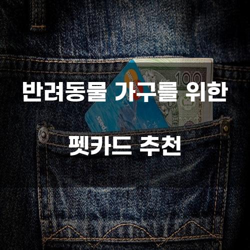 반려동물 가구를 위한 펫카드 추천