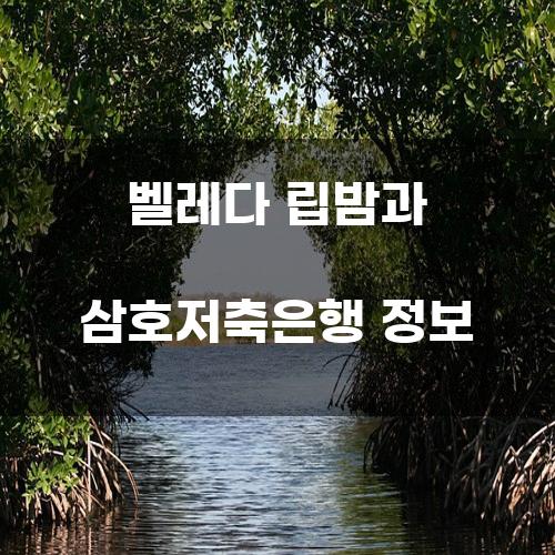 벨레다 립밤과 삼호저축은행 정보