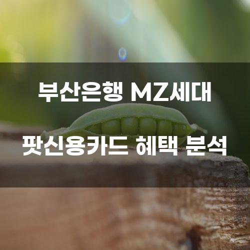 부산은행 MZ세대 팟신용카드 혜택 분석