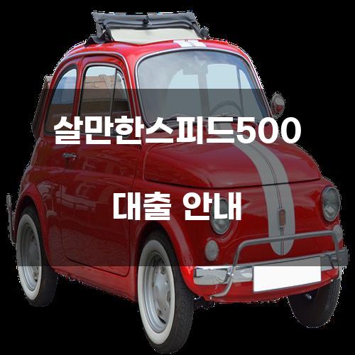 살만한스피드500 대출 안내