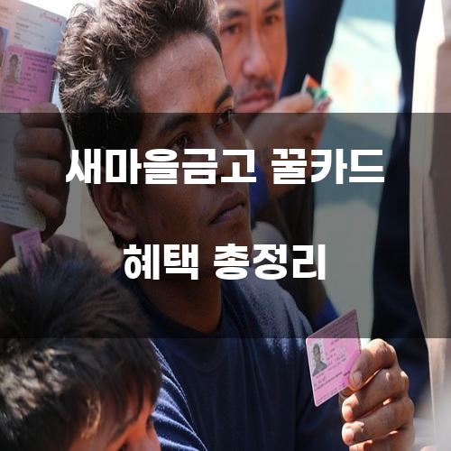 새마을금고 꿀카드 혜택 총정리