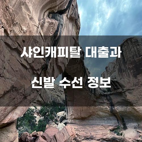 샤인캐피탈 대출과 신발 수선 정보