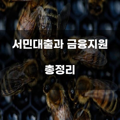 서민대출과 금융지원 총정리