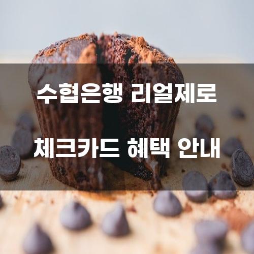 수협은행 리얼제로 체크카드 혜택 안내