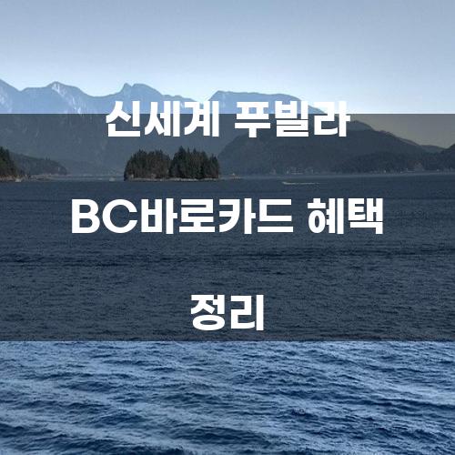 신세계 푸빌라 BC바로카드 혜택 정리