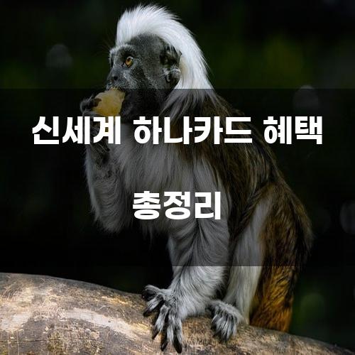 신세계 하나카드 혜택 총정리