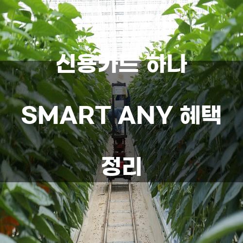 신용카드 하나 SMART ANY 혜택 정리