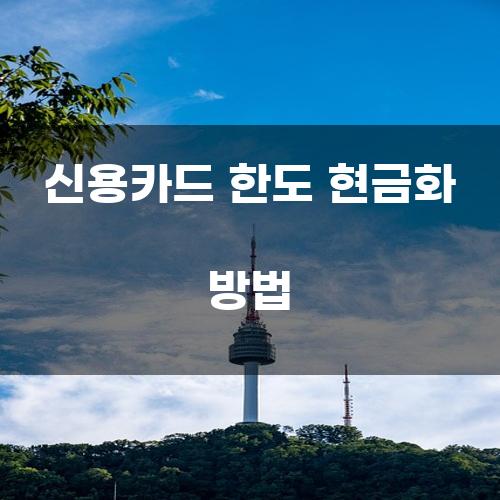 신용카드 한도 현금화 방법