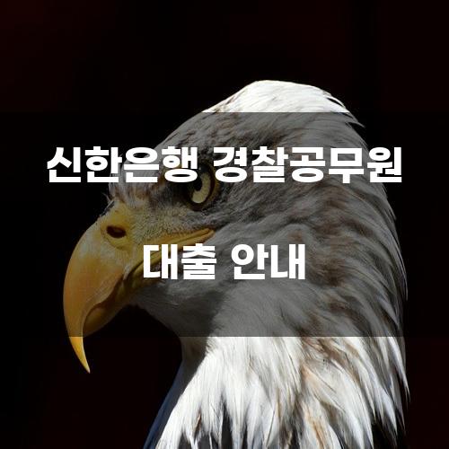 신한은행 경찰공무원 대출 안내