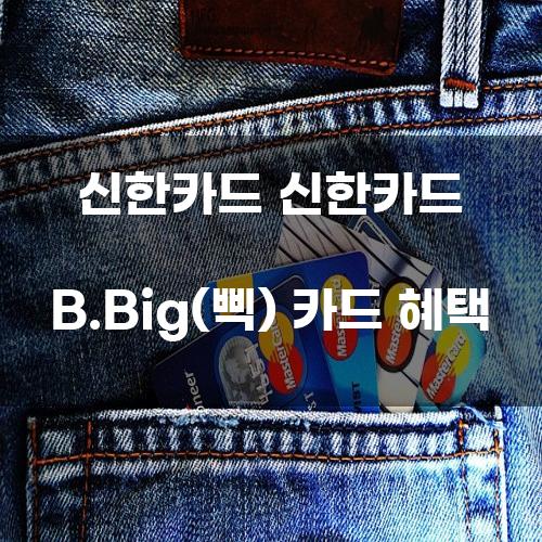 신한카드 B.Big(삑) 카드 혜택