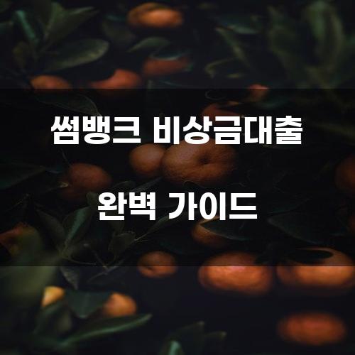 썸뱅크 비상금대출 완벽 가이드