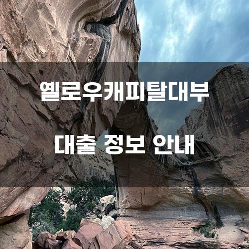 옐로우캐피탈대부 대출 정보 안내