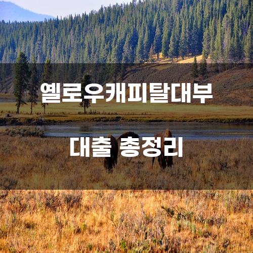 옐로우캐피탈대부 대출 총정리