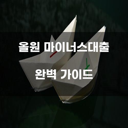 올원 마이너스대출 완벽 가이드