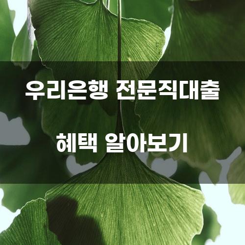 우리은행 전문직대출 혜택 알아보기