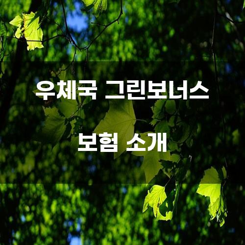 우체국 그린보너스 보험 소개