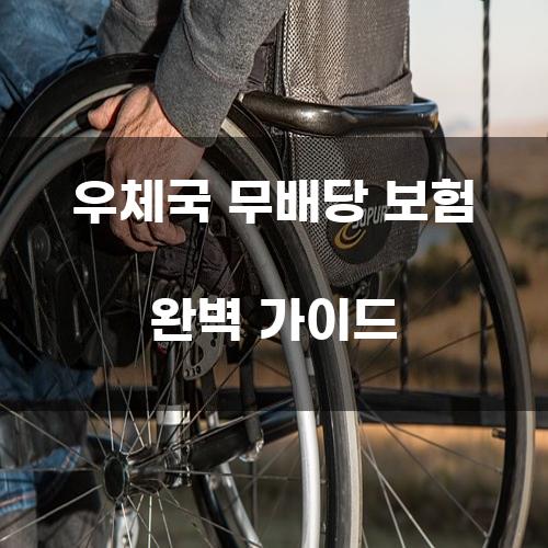 우체국 무배당 보험 완벽 가이드