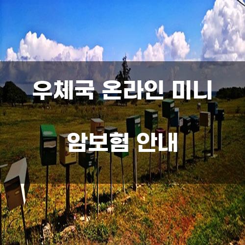 우체국 온라인 미니 암보험 안내