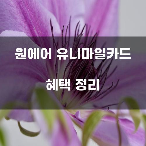 원에어 유니마일카드 혜택 정리