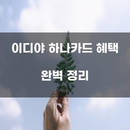 이디야 하나카드 혜택 완벽 정리